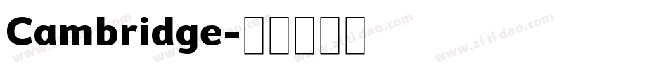Cambridge字体转换