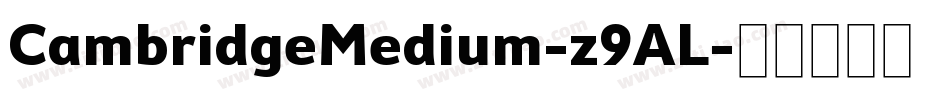 CambridgeMedium-z9AL字体转换