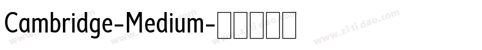 Cambridge-Medium字体转换