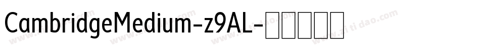 CambridgeMedium-z9AL字体转换