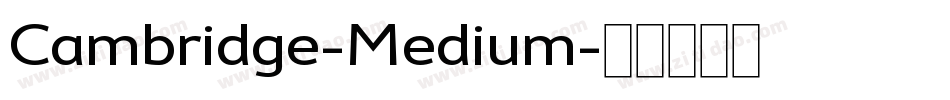 Cambridge-Medium字体转换