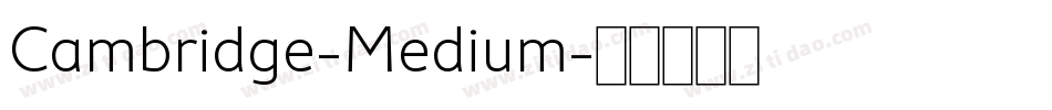 Cambridge-Medium字体转换