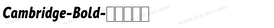 Cambridge-Bold字体转换