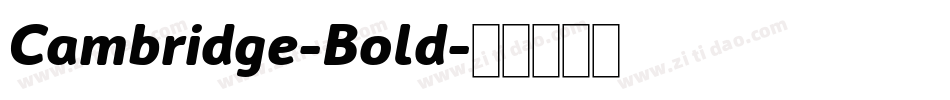 Cambridge-Bold字体转换