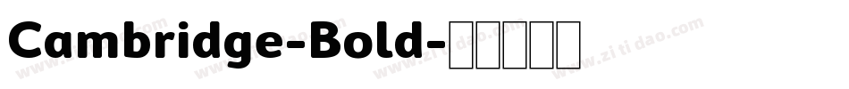 Cambridge-Bold字体转换