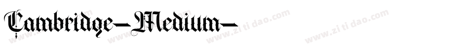 Cambridge-Medium字体转换