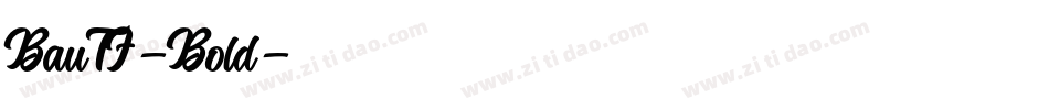BauTF-Bold字体转换