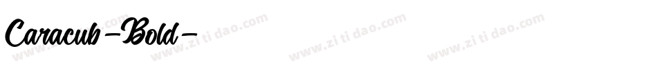 Caracub-Bold字体转换