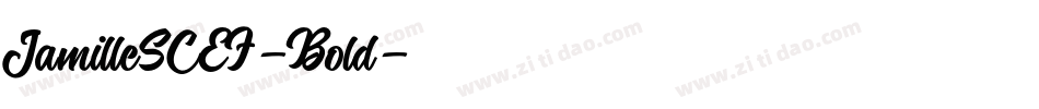JamilleSCEF-Bold字体转换