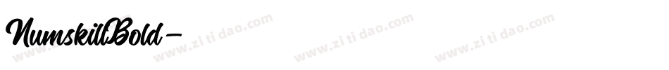 NumskillBold字体转换