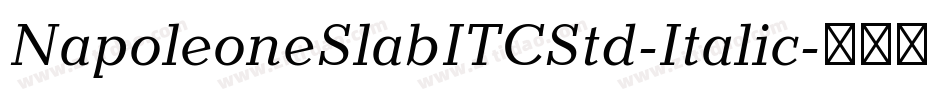 NapoleoneSlabITCStd-Italic字体转换