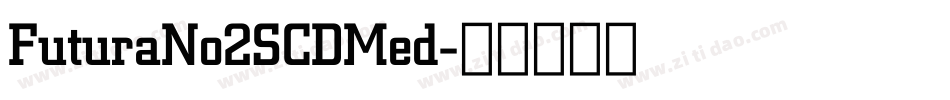 FuturaNo2SCDMed字体转换