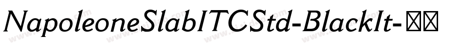 NapoleoneSlabITCStd-BlackIt字体转换