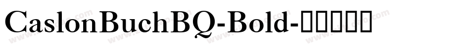 CaslonBuchBQ-Bold字体转换
