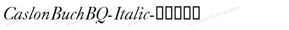 CaslonBuchBQ-Italic字体转换