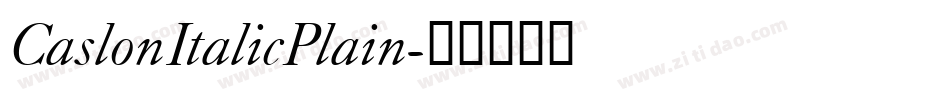 CaslonItalicPlain字体转换
