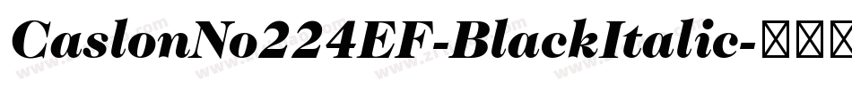 CaslonNo224EF-BlackItalic字体转换
