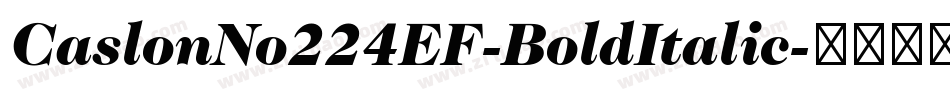 CaslonNo224EF-BoldItalic字体转换
