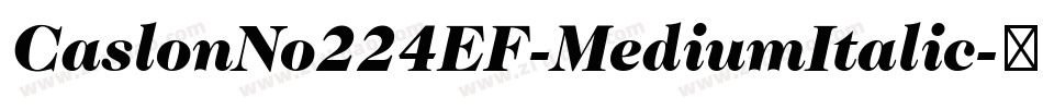 CaslonNo224EF-MediumItalic字体转换