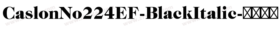 CaslonNo224EF-BlackItalic字体转换