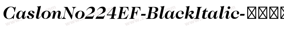 CaslonNo224EF-BlackItalic字体转换