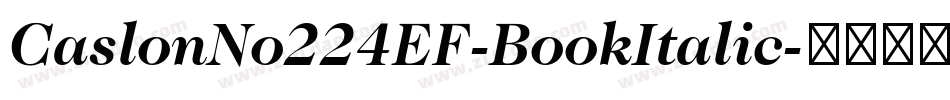 CaslonNo224EF-BookItalic字体转换