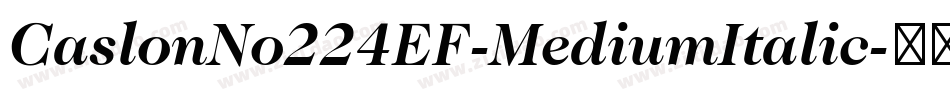CaslonNo224EF-MediumItalic字体转换