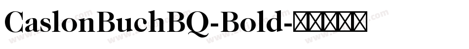 CaslonBuchBQ-Bold字体转换