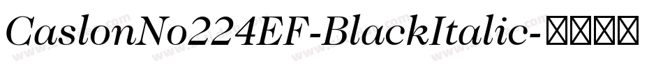 CaslonNo224EF-BlackItalic字体转换