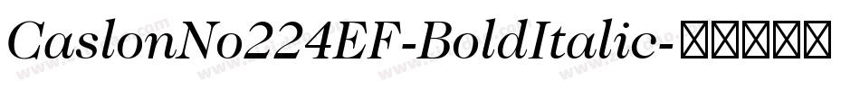 CaslonNo224EF-BoldItalic字体转换