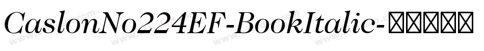 CaslonNo224EF-BookItalic字体转换