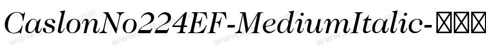 CaslonNo224EF-MediumItalic字体转换