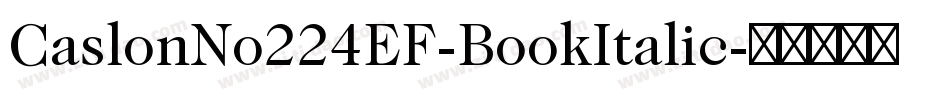 CaslonNo224EF-BookItalic字体转换