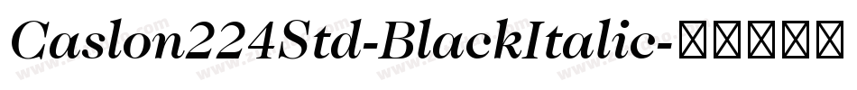 Caslon224Std-BlackItalic字体转换