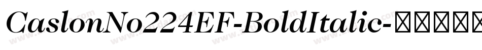 CaslonNo224EF-BoldItalic字体转换