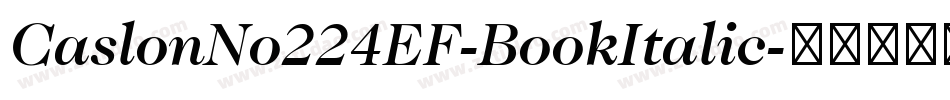 CaslonNo224EF-BookItalic字体转换