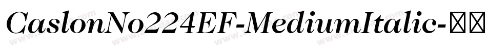 CaslonNo224EF-MediumItalic字体转换
