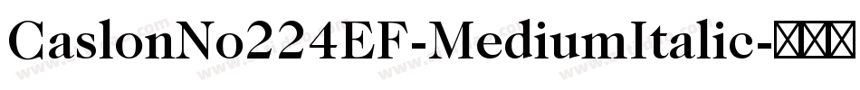 CaslonNo224EF-MediumItalic字体转换