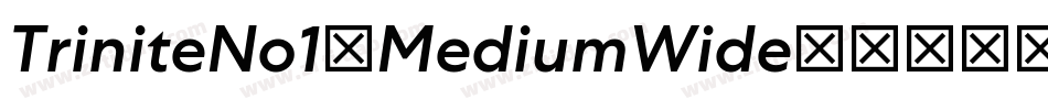 TriniteNo1-MediumWide字体转换