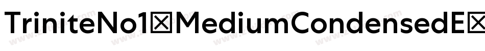 TriniteNo1-MediumCondensedE字体转换