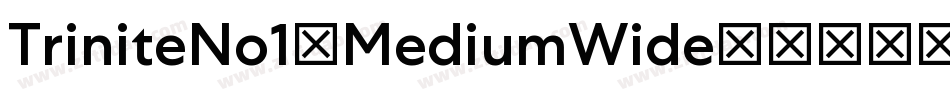 TriniteNo1-MediumWide字体转换