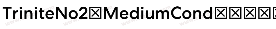 TriniteNo2-MediumCond字体转换