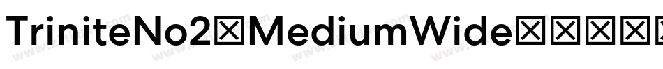 TriniteNo2-MediumWide字体转换