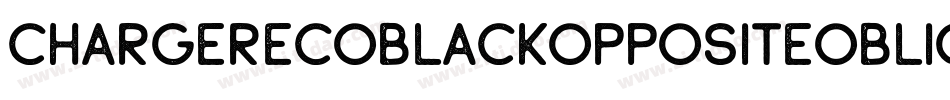 ChargerEcoblackOppositeOblique-YL14字体转换
