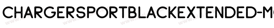 ChargerSportBlackExtended-mG8a字体转换