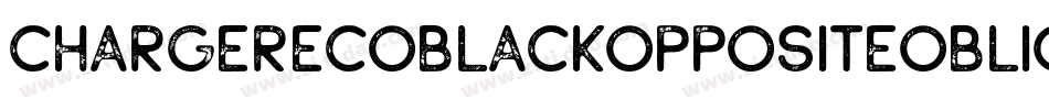ChargerEcoblackOppositeOblique-YL14字体转换