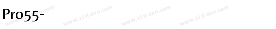 Pro55字体转换