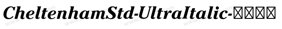 CheltenhamStd-UltraItalic字体转换