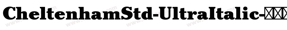 CheltenhamStd-UltraItalic字体转换