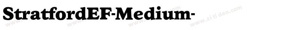 StratfordEF-Medium字体转换